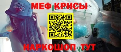 ешки Кингисепп