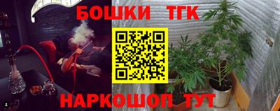 ешки Кингисепп
