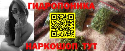 ешки Кингисепп