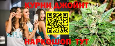 ешки Кингисепп