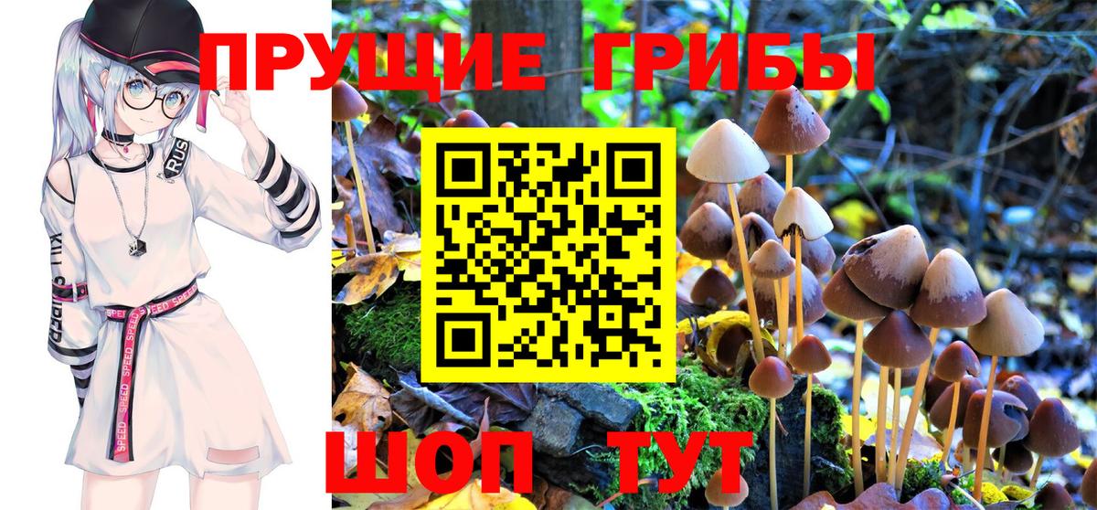 Галлюциногенные грибы Magic Shrooms Ковров