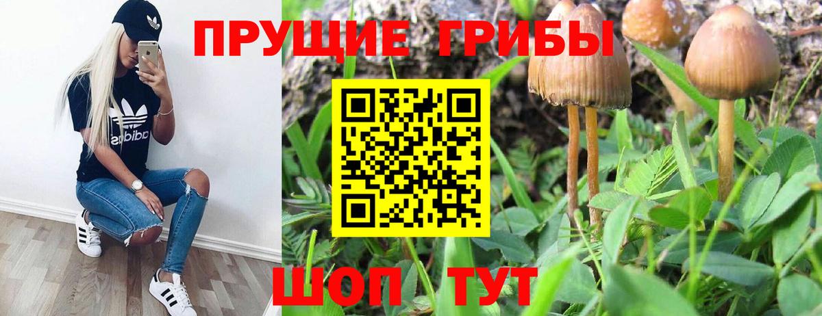 Галлюциногенные грибы ЛСД  Вход с VPN  Ковров 